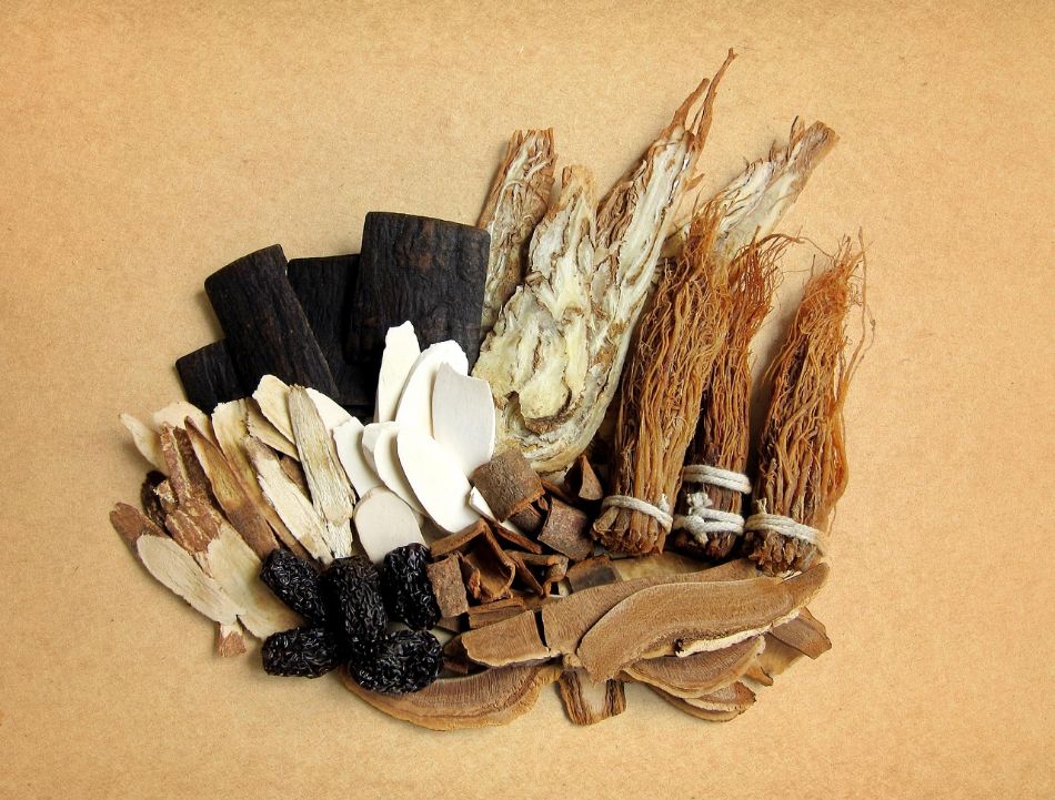 Emotional Well-Being and Mushrooms: Integrating Mycotherapy into Your Daily Life